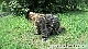 rdl144703_035