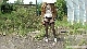 rdl144201_012