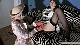 rdl144203_070