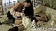 rdl140903_00045