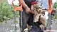 rdl144303_035