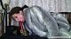 fur091202_023