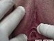 do071102-059