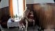 ee120403_00005