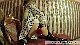 rdl140204_00003