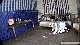 rdl161603_080