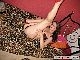 pa082801_011