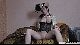 do090902_049