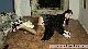 rdl140504_00034
