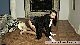 rdl140504_00038