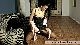 rdl140504_00067