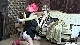 rdl162103_023