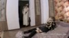 1762457715 Blondine