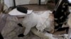 160044946 Blondine