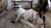 528935941 Blondine